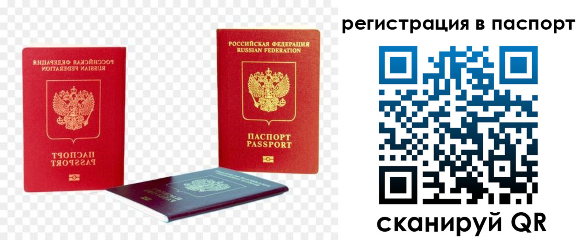 временная регистрация поиск в Алтае